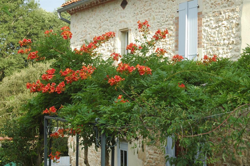 Domaine De Cimelia Βίλα Fauch Εξωτερικό φωτογραφία