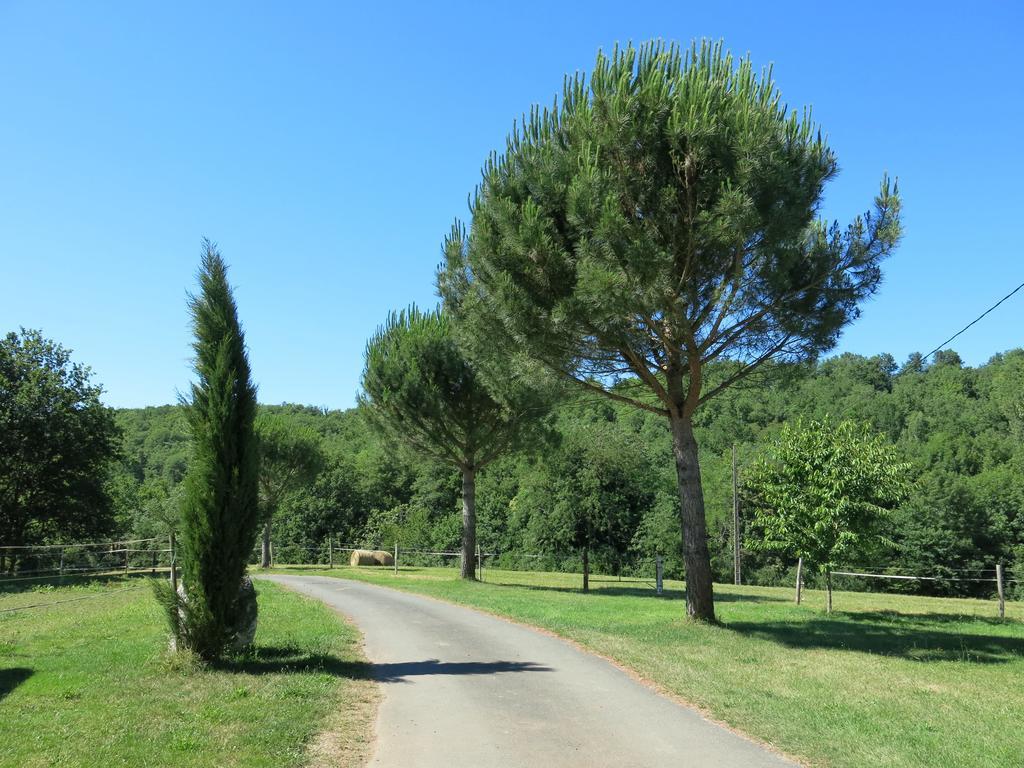 Domaine De Cimelia Βίλα Fauch Εξωτερικό φωτογραφία